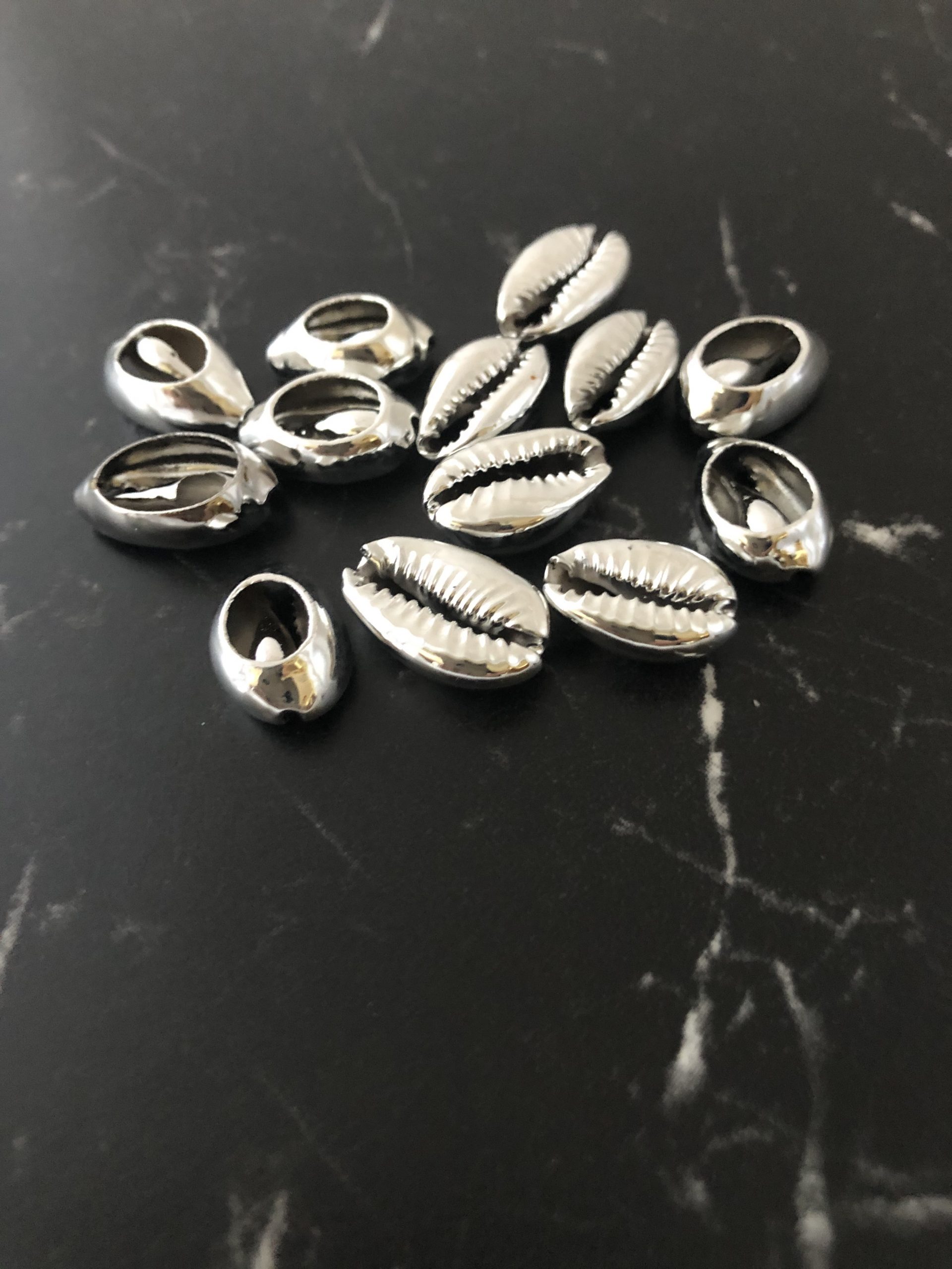 10 coquillages naturels cauris argent