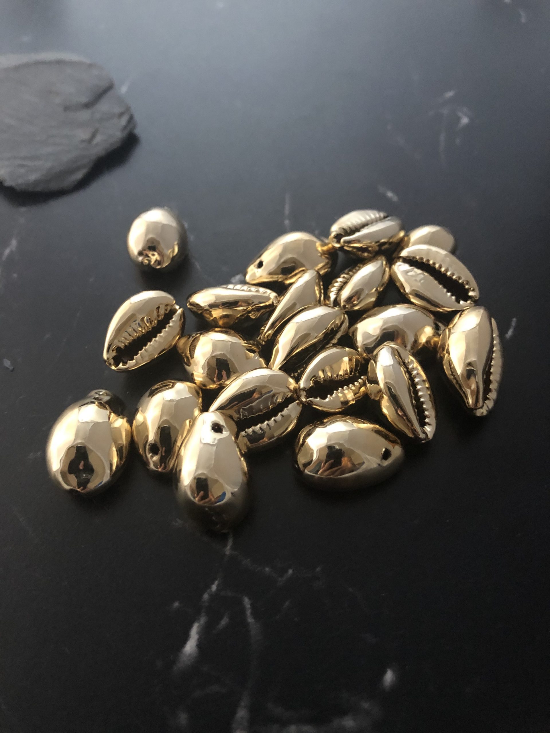 10 coquillages naturels cauris OR